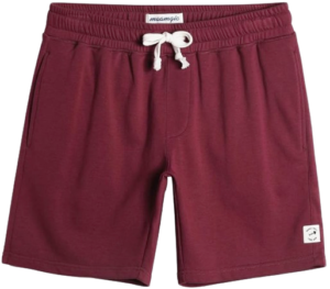 Screen_Shot_2024-11-19_at_10.58.54_PM-removebg-preview